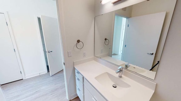 a bathroom with a sink and a large mirror
