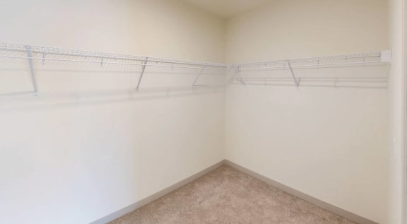 a white closet with shelves on the wall and a carpeted floor