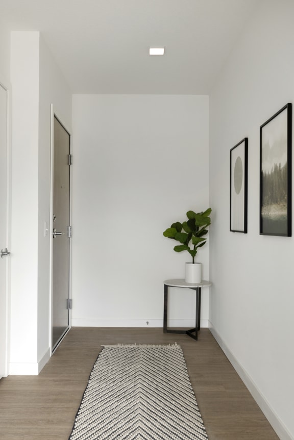a white hallway with a black and white rug and a plant on a table