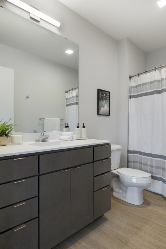 a bathroom with a toilet and a sink and a mirror