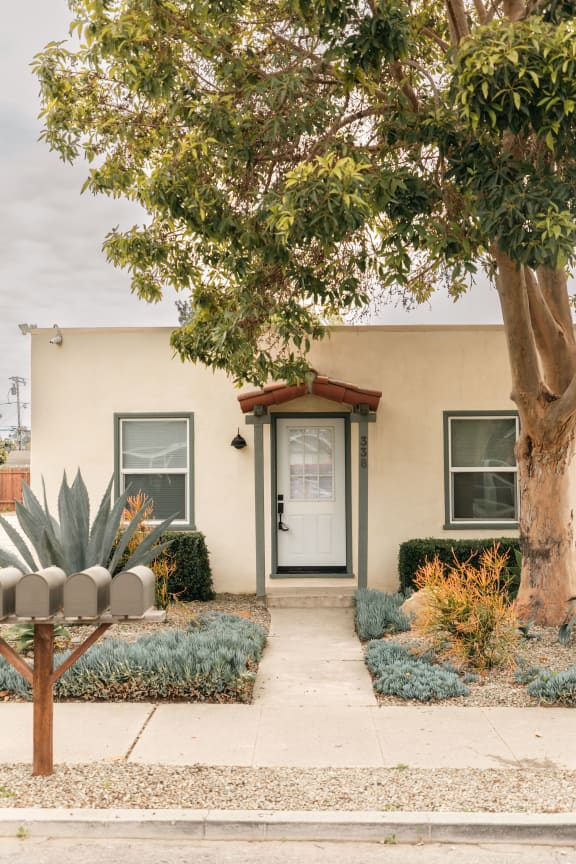 a house with a tree in front of it