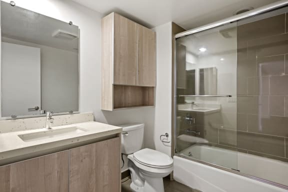 Hall Bathroom