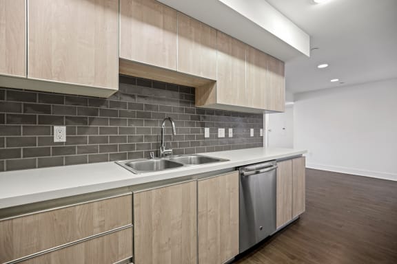 Kitchen sink and Dishwasher