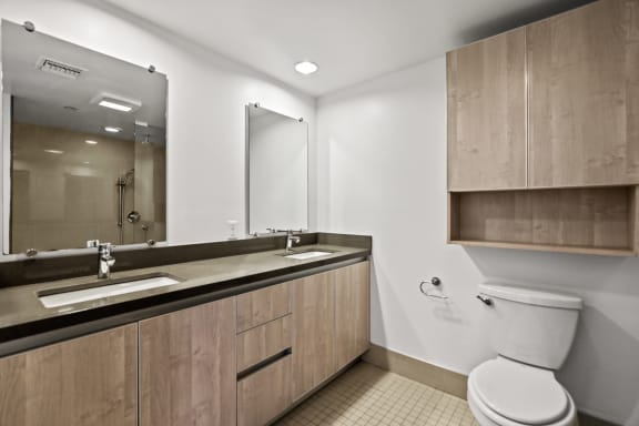 Master Bathroom Vanity