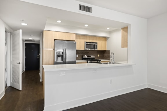 Kitchen Bar Area
