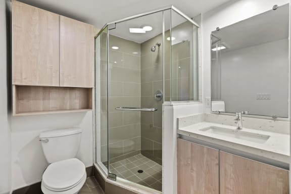 Hall Bathroom