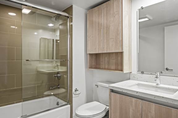 Hall Bathroom