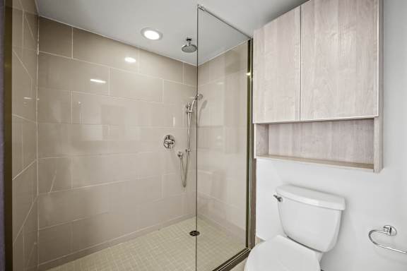 Master Bath Walk in Shower