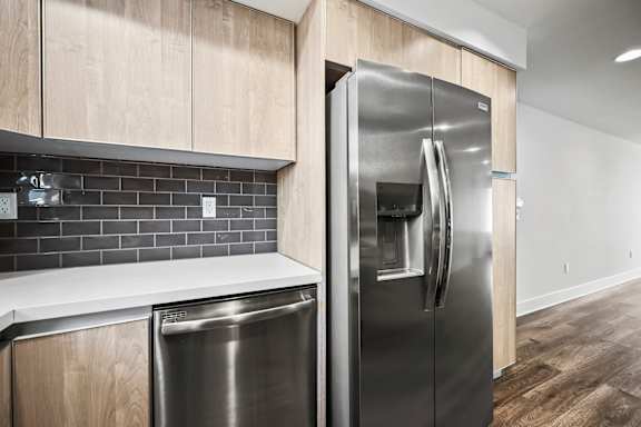 Stainless Steel Refrigerator and Dishwasher
