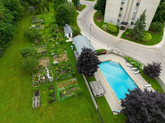 A pool is surrounded by a grassy area and trees.
