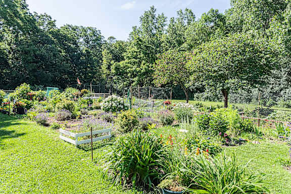 A garden with a white fence and a variety of plants.