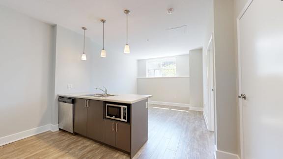 A kitchen with a dishwasher and microwave built into the cabinetry.