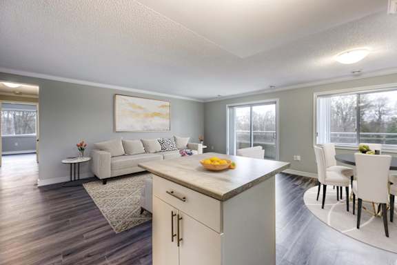 A kitchen with a white countertop and a white couch in the background.