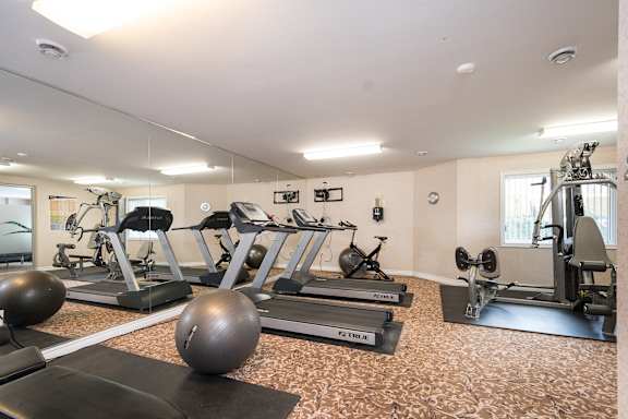 A gym with treadmills, exercise balls, and weights.