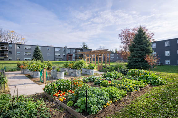 Community Garden with plots available for residents