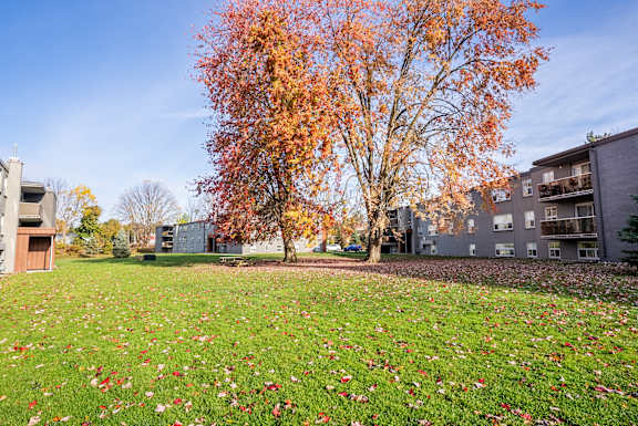 Green Space.