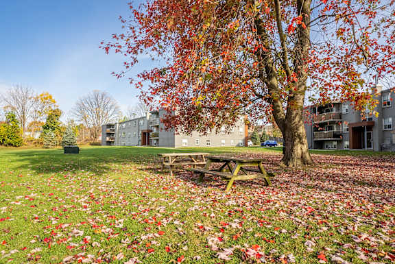 Green space with picnic area.