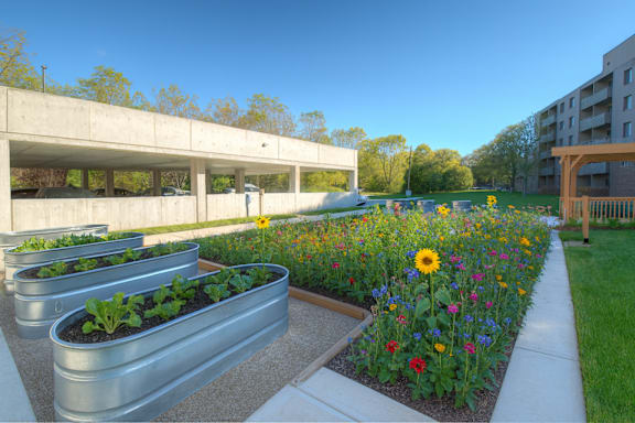 A sunny day at a park with a variety of flowers and plants.
