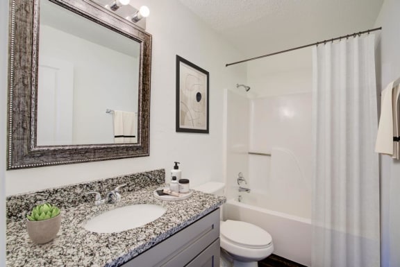a bathroom with a sink and a toilet