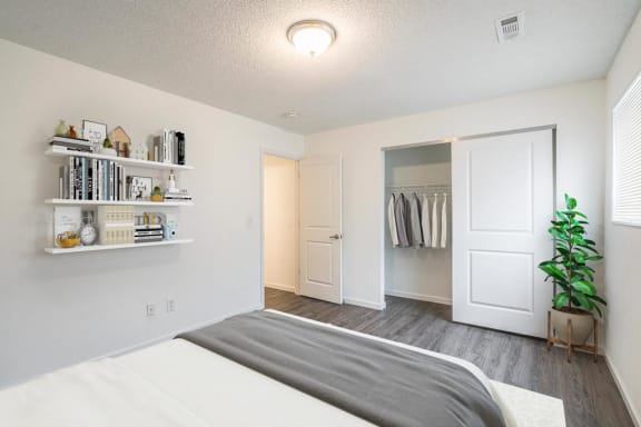 a bedroom with a bed and a closet