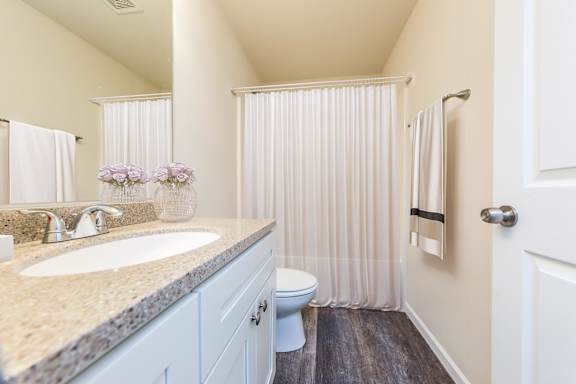 A bathroom with a sink, toilet, and shower curtain.