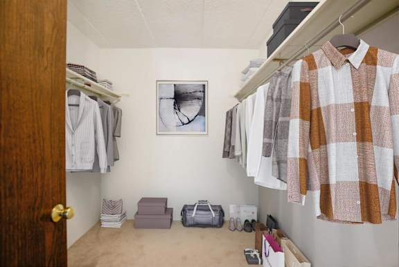 A room with a white wall and a brown door.