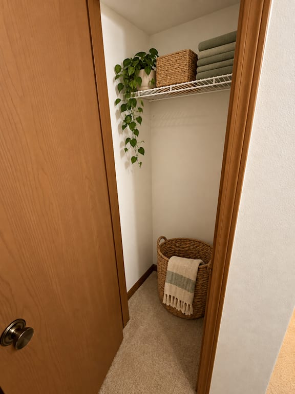 A small room with a door, a basket, and a plant.