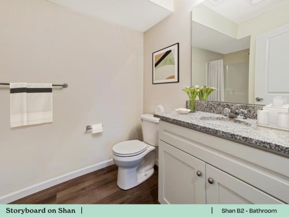 a bathroom with a toilet and a sink and a mirror