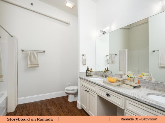 a bathroom with a sink and a mirror and a toilet