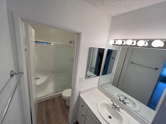 a bathroom with a sink and a mirror and a shower