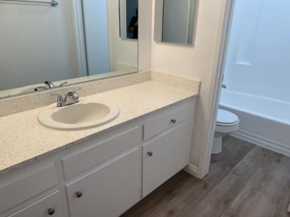 a bathroom with a sink and a toilet and a mirror