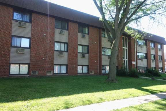 A large tree is in front of a brick apartment building.