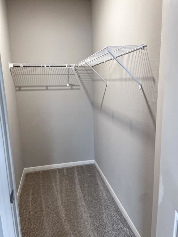 Large closet with shelving and carpet at Promenade Luxury Apartments in Beaumont, Texas