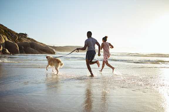 A man and a woman are running on the beach with a dog.
