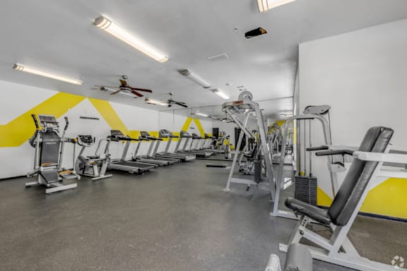 A gym with a variety of equipment including treadmills, weights, and a fan.