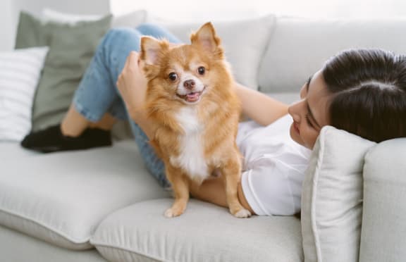 a woman laying on a couch with her dog on top of her