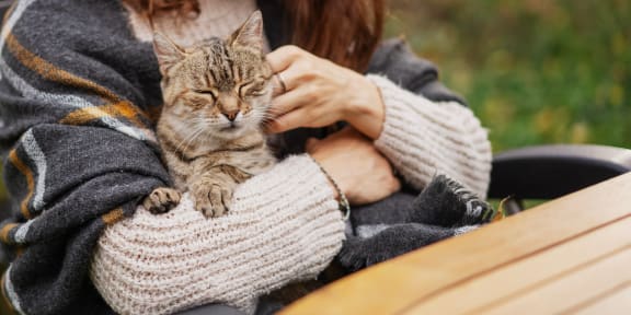 a woman sitting in a chair holding a cat