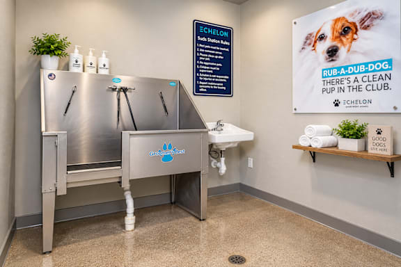 A dog grooming station with a sign that says "RUB-A-DUB-DOG. THERE'S A CLEAN PUP IN THE CLUB."