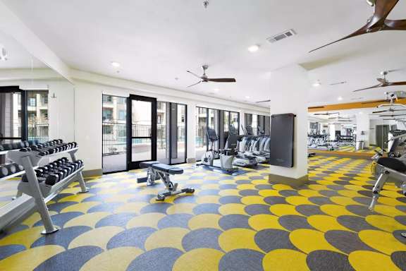 A gym with a variety of equipment including weights and treadmills.