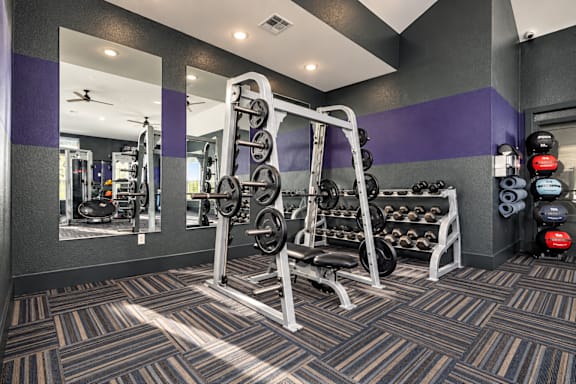 A gym with a weight bench and weights.