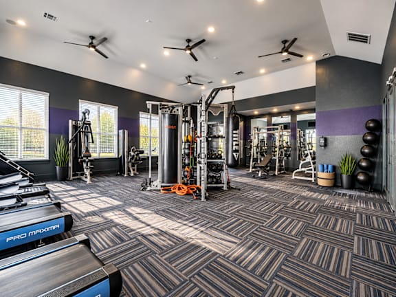 A spacious gym with a variety of equipment and a treadmill.