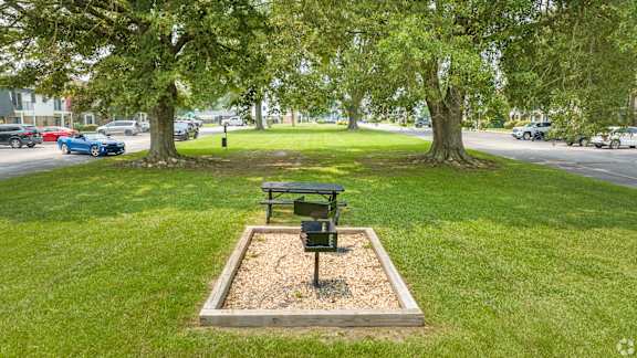 A park with a bench and a tree.at Liberty Crossing, Jacksonville, NC