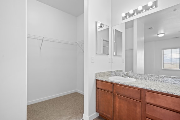 a bathroom with a sink and a mirror and a shower