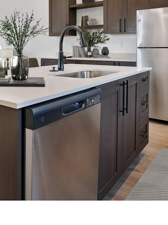 A modern kitchen with a stainless steel dishwasher and wooden cabinets.