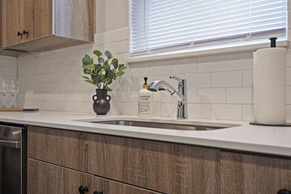 A kitchen with a sink and a plant on the counter.
