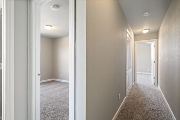 an empty basement room with a carpeted floor and a mirrored closet