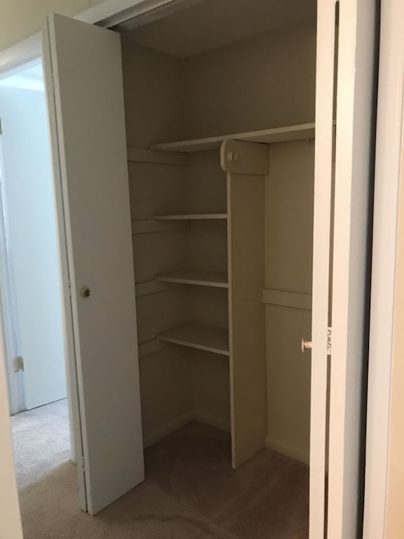 A white closet with shelves and a door open.