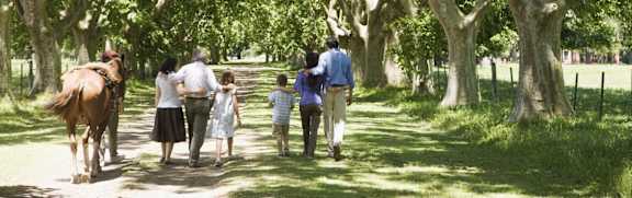 A family is walking down a tree-lined path with a horse.