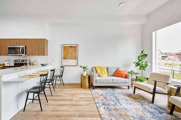 A living room with a grey couch and a blue rug.