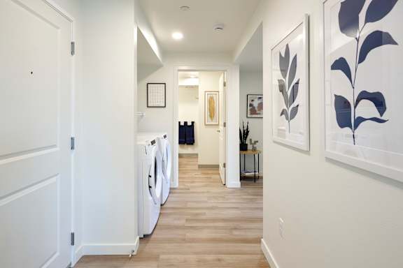 A hallway with a washer and dryer on the left and a plant on the right.